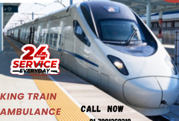 Get King Train Ambulance Services In Allahabad  Helps To Move Patients With Comfort And Safety
