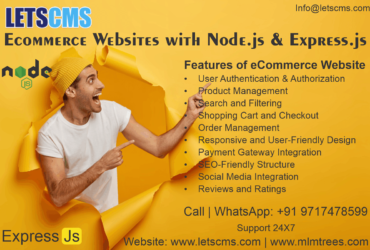 I built an E-commerce website & API with Nodejs, Express and MongoDB with customizations
