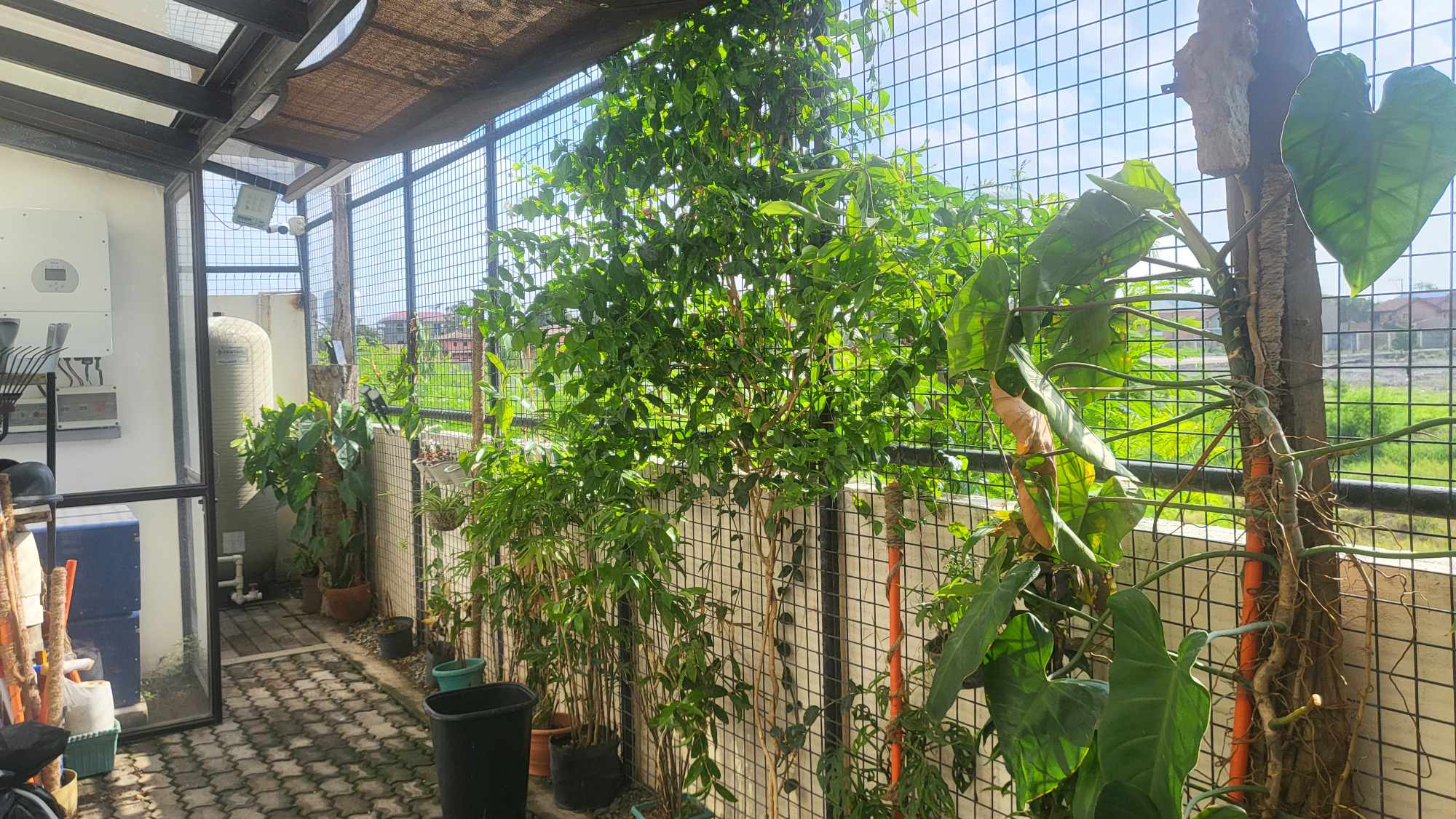 House for Sale in Princeton Heights, Bacoor, Cavite 20M
