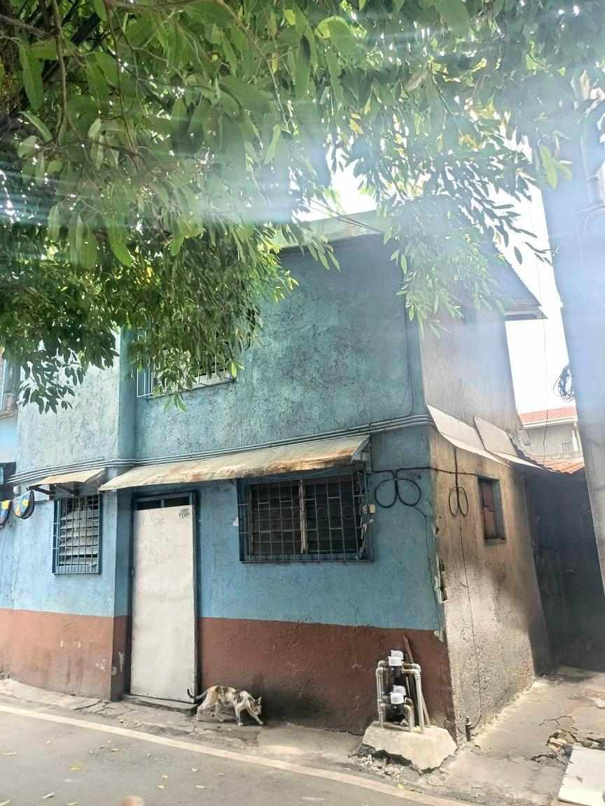 Apartment for Sale in Baesa, Quezon City 3.8M