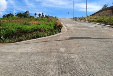 Subdivided Lots for Sale in Ligao Prestige Subdivision!
