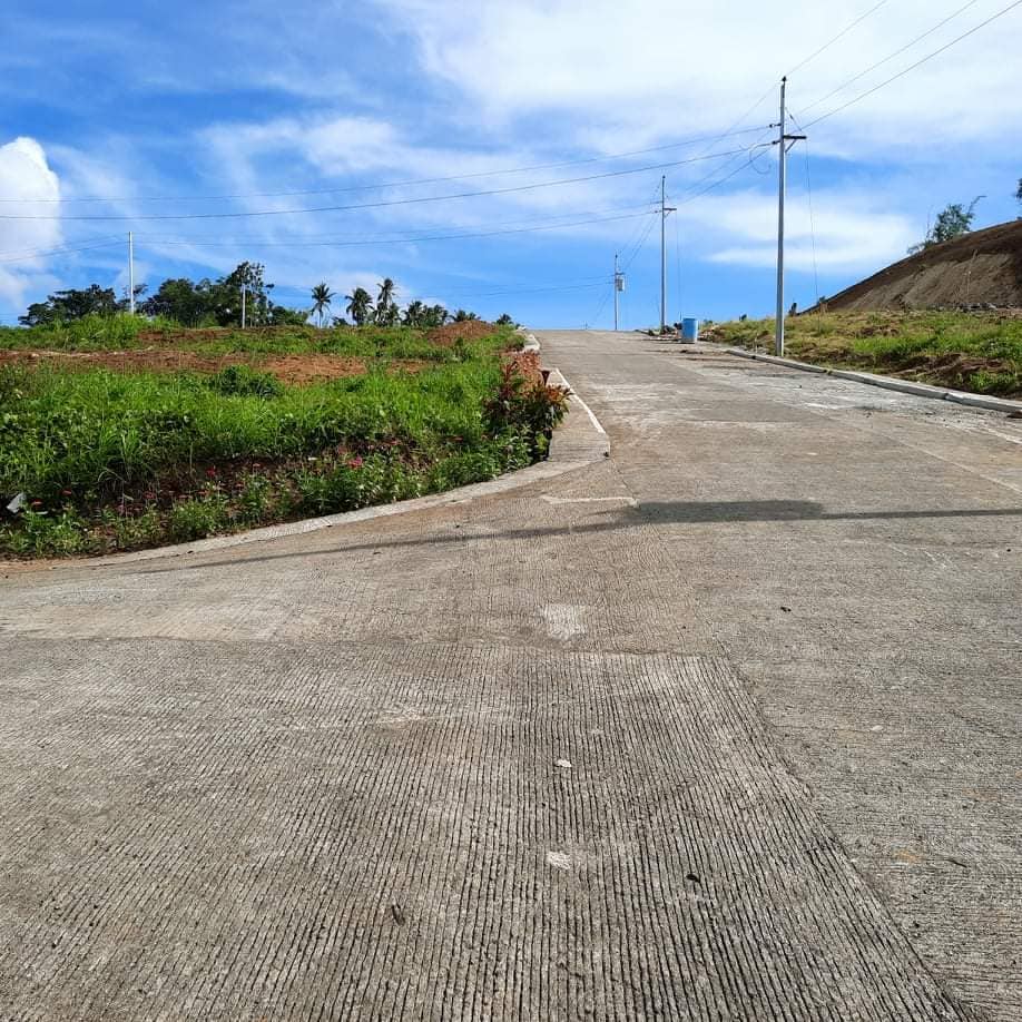 Subdivided Lots for Sale in Ligao Prestige Subdivision!