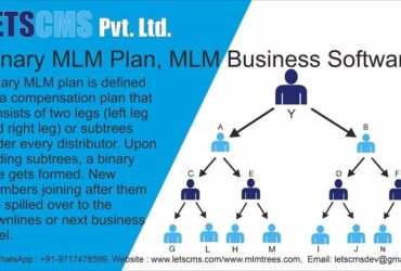 Binary MLM Software Demo | Binary MLM Compensation Plan, MLM WooCommerce Price USA