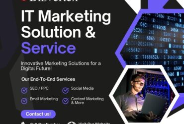 Choosing the Right IT Marketing Partner: What Sets Bizvertex Apart?