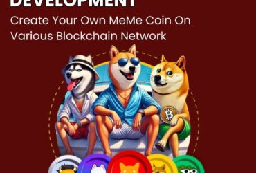 Develop Unique and Secure MeMe Coins Across Blockchains with Plurance
