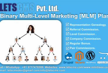 Binary MLM E-Pin Plan for Drupal USA | Binary Multi-Level Marketing Plan ECommerce Software