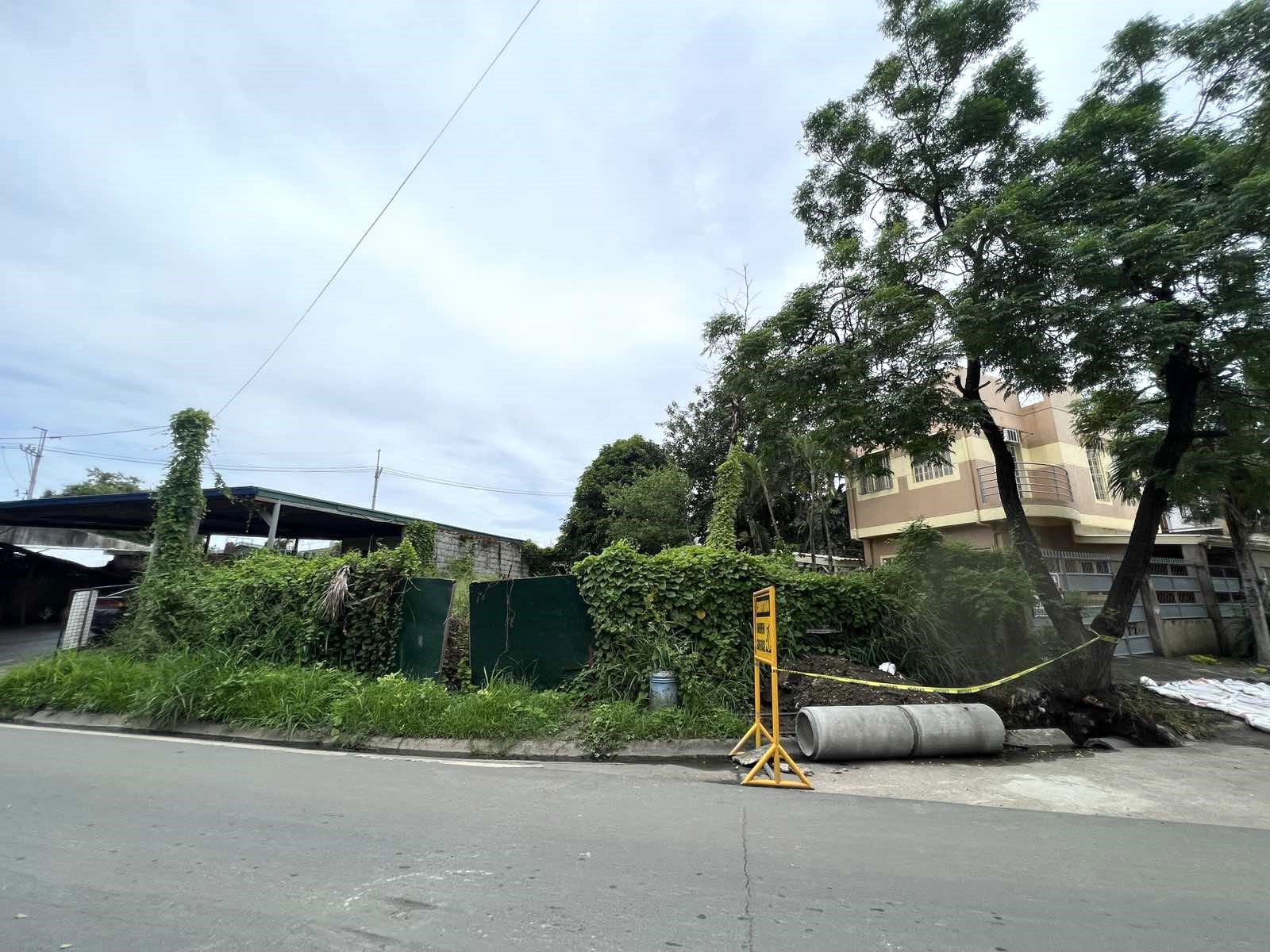 Lot for Sale in Las Piñas City 25K per sqm
