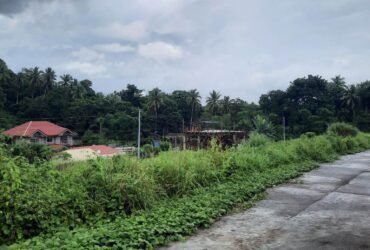 Subdivided Lots for Sale in Ligao