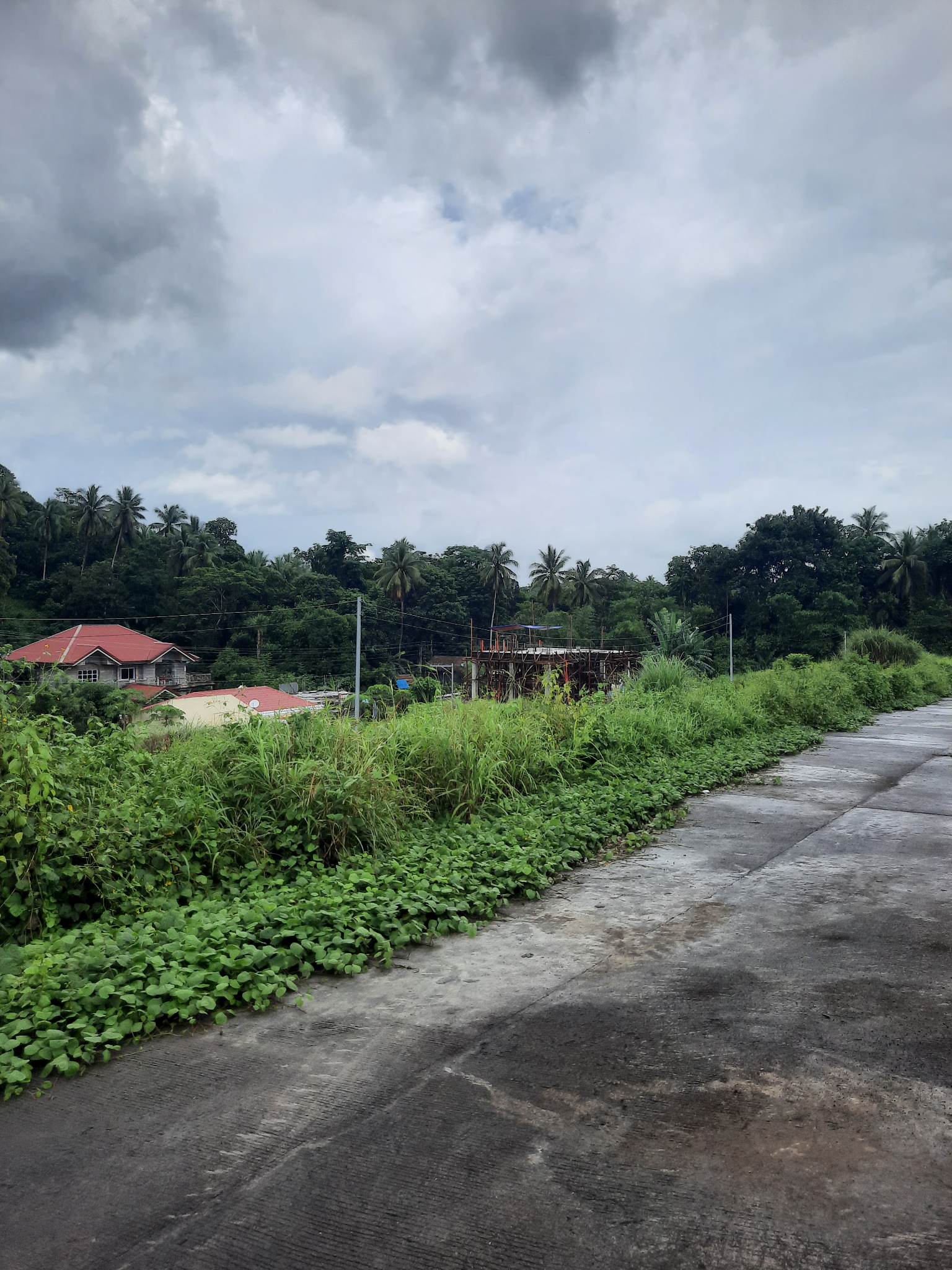 Subdivided Lots for Sale in Ligao