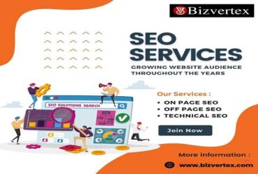 Stay Ahead with Bizvertex: Expert SEO for Tomorrow’s Leading Industries