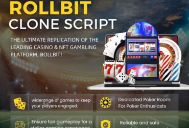 High ROI  Gaming Platform with Rollbit  Script – Book Your Free Demo!