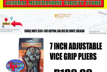 PLIERS VICE GRIP