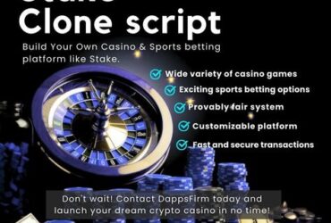 "Profit from Online Gaming with Stake  Script – Minimal Investment, Maximum Returns"