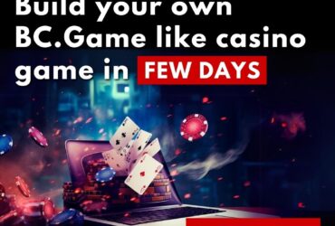 Turnkey BC.Game  Script: Start Your  Casino Business in No Time