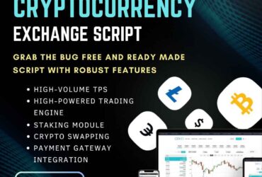  Exchange Script – Get Your  trading Script at Low Cost