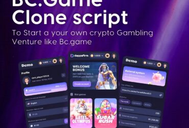 BC.Game  Script: Elevate Your Online Casino Business