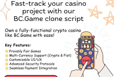 BC.Game  Script a Ultimate Solution for Online Casino Entrepreneurs