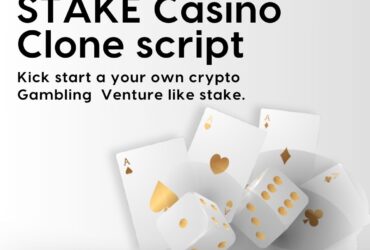 "Stake  Script: Your Fast-Track Solution to Casino Business Success."
