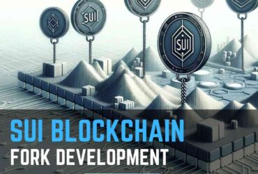 Get Your SUI Blockchain Forking Service From Hivelance