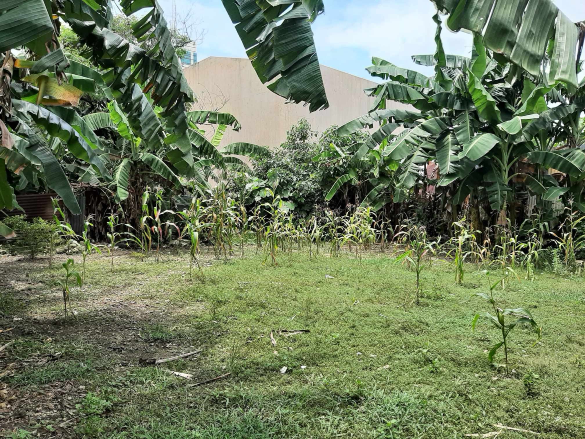 1826SQM Lot in A.S. Fortuna Mandaue near Oakridge