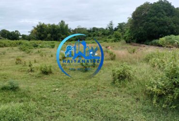 1.5 Hectares Agricultural Residential Lot in Poblacion San Remigio Cebu