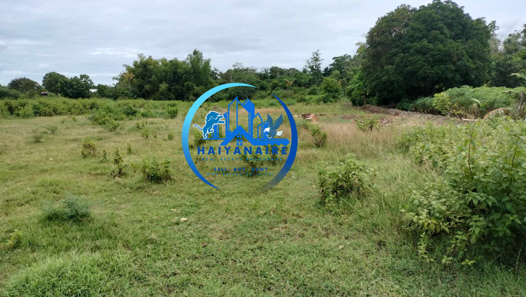 1.5 Hectares Agricultural Residential Lot in Poblacion San Remigio Cebu