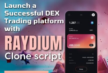 Bespoke Raydium  Solutions for Your Decentralized Exchange Needs
