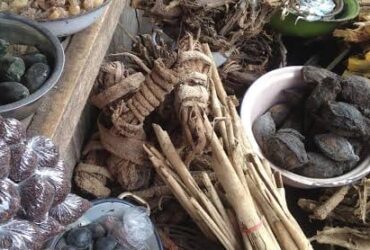 ⓶:@#  SPELL CASTER [[+27764410726]] SANGOMA/ A TRADITIONAL HEALER AND A SPIRITUAL HEALER in  Pretoria,  Diepsloot,  Durban,  Sasolburg,  Botshabelo,  Bothaville, Potchefstroom,  Klerksdorp, Secunda,  Middleburg,  Ermelo,  Witbank,  Mafikeng,  Lichtenburg,  Rustenburg,  Nelspruit,  Capetown,  Ladysmith,  Ladybrand,  Groblersdal,  Secunda,  Middleburg,  Newcastle,  Polokwane,  Port Elizabeth,  East London, Ermelo, Kimberly, Mthatha, Queenstown,