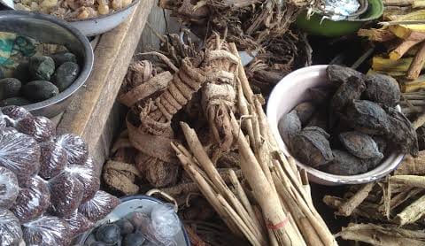 ⓶:@#  SPELL CASTER [[+27764410726]] SANGOMA/ A TRADITIONAL HEALER AND A SPIRITUAL HEALER in  Pretoria,  Diepsloot,  Durban,  Sasolburg,  Botshabelo,  Bothaville, Potchefstroom,  Klerksdorp, Secunda,  Middleburg,  Ermelo,  Witbank,  Mafikeng,  Lichtenburg,  Rustenburg,  Nelspruit,  Capetown,  Ladysmith,  Ladybrand,  Groblersdal,  Secunda,  Middleburg,  Newcastle,  Polokwane,  Port Elizabeth,  East London, Ermelo, Kimberly, Mthatha, Queenstown,