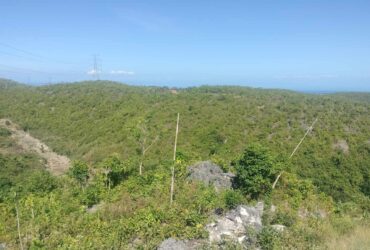 314 SQM Overlooking Residential Lot in Lataban Estates Liloan Cebu