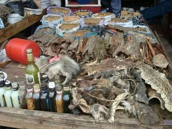 FULLY LICENSED LOST LOVE SPELL CASTER  +27826623707 FAMOUS TRADITIONAL HEALER IN IRELAND,ITALY,KOSOVO,LATVIA, LIECHTENSTEIN,LITHUANIA,LUXEMBOURG TUSKEGEE, ALASKA, ANCHORAGE, CORDOVA, FAIRBANKS, HAINES, HOMER, JUNEAU, KETCHIKAN, KODIAK, Malaysia, Estonia, Croatia, Belgium, Austria, Germany, Australia, Sweden, New Zealand, Canada, Indonesia, Seychelles, Bahamas, Panama, Finland,