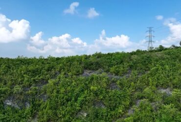 562 SQM Overlooking Residential Lot in Lataban Estates Liloan Cebu