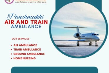 With Zero Risk, You Must Hire Panchmukhi Air and Train Ambulance Services in Kochi