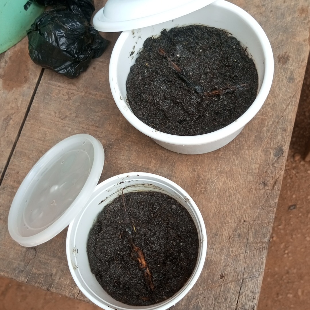 The best powerful spiritual herbalist and native doctor in Nigeria+2348075710213