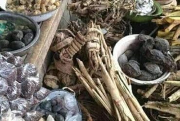 Destroy witchcraft +27735222291 sangoma- Durban, Pietermaritzburg, Estcourt, Greytown, Howick, Kokstad, Richmond, Amajuba, Newcastle, Ulundi, UmzinyathiDundee, UthukelaLadysmith, Vryheid, Zululand, Berea&Musgrave, Chatsworth, CityCentre, GoldenMile, Greyville, Inanda, KwaMashu, Morningside, Phoenix, PointHarbour, Umlazi, Ballitoville, Empangeni, Eshowe, Ilembe, RichardsBay, Stanger, Umkhanyakude, Uthungulu
