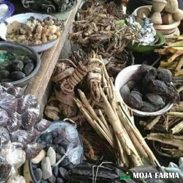 Destroy witchcraft +27735222291 sangoma- Durban, Pietermaritzburg, Estcourt, Greytown, Howick, Kokstad, Richmond, Amajuba, Newcastle, Ulundi, UmzinyathiDundee, UthukelaLadysmith, Vryheid, Zululand, Berea&Musgrave, Chatsworth, CityCentre, GoldenMile, Greyville, Inanda, KwaMashu, Morningside, Phoenix, PointHarbour, Umlazi, Ballitoville, Empangeni, Eshowe, Ilembe, RichardsBay, Stanger, Umkhanyakude, Uthungulu