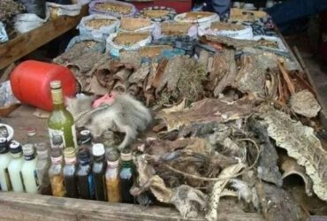 How to Remove Black Magic +27735222291- Melville, Northcliff, ProteaGlen, Randburg, Roodepoort, Rosebank, Sunninghill, Walkerville, Woodmead,