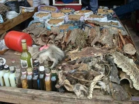 How to Remove Black Magic +27735222291- Melville, Northcliff, ProteaGlen, Randburg, Roodepoort, Rosebank, Sunninghill, Walkerville, Woodmead,