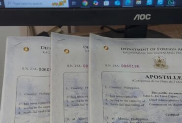 Apostille of Documents Assistance