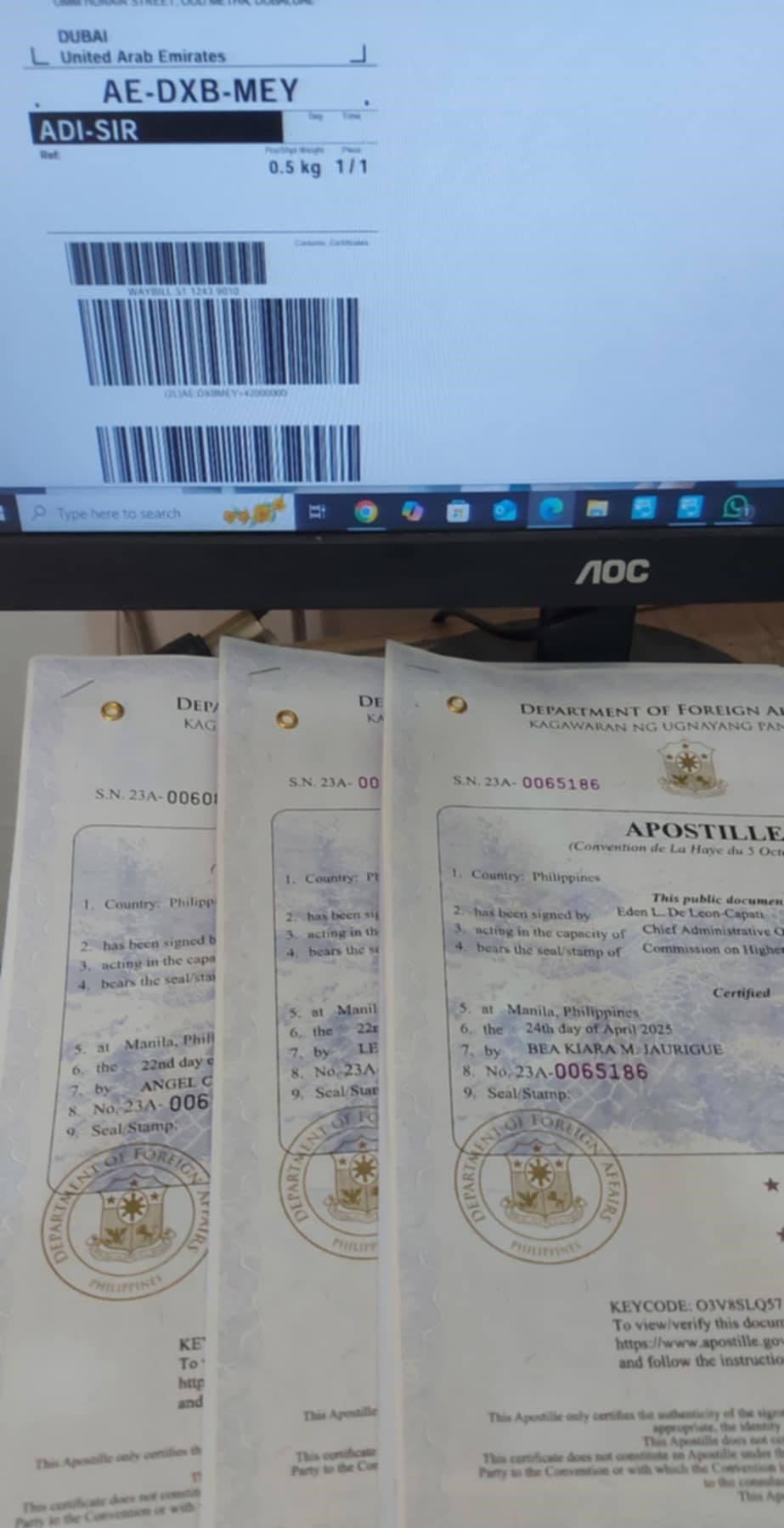 Apostille of Documents Assistance