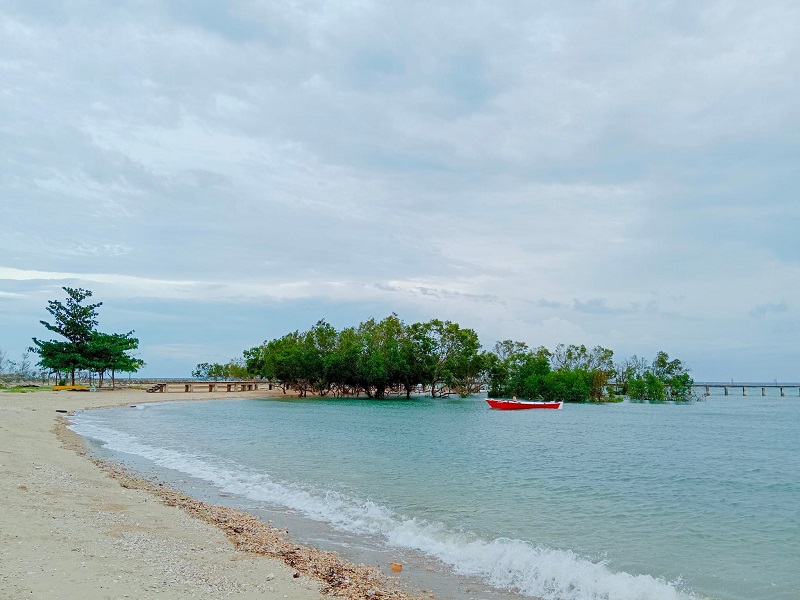 TOWNHOUSE INSIDE SUBDIVISION NEAR BEACH DANAO CEBU