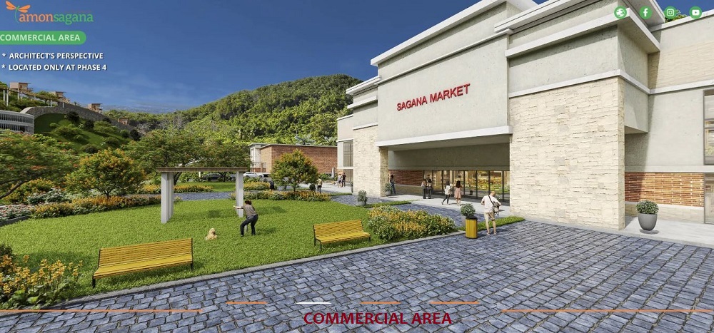 452 SQM CORNER LOT AMONSAGANA BALAMBAN