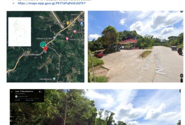 Villa Libertad, El nido, Palawan Lot Area: 38,383 sqm