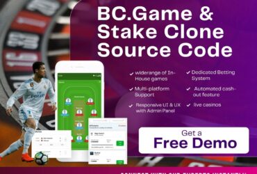 Step into Web3 Gambling with Stake and BC.Game  Source Code Package