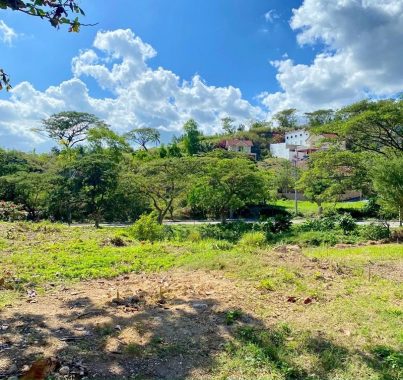 198 SQM RESIDENTIAL LOT TALISAY CITY CEBU CAMELLA AZIENDA
