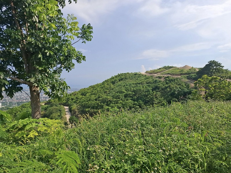 MONTELAGO LOT AT MONTERRAZAS DE CEBU PREMIUM LOT