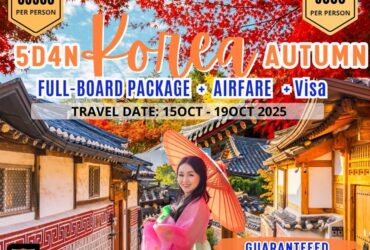 KOREA AUTUMN PACKAGE
