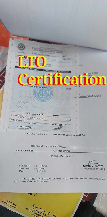 Driving License with Apostille