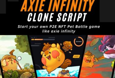 Cut Development Time & Costs with Our Axie Infinity  Software Package