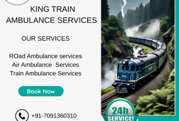 Choose King Train Ambulance Service in Raipur for your patient now.